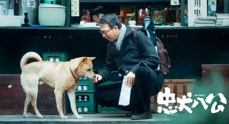 Suzuk kino在国外地区限制怎么办